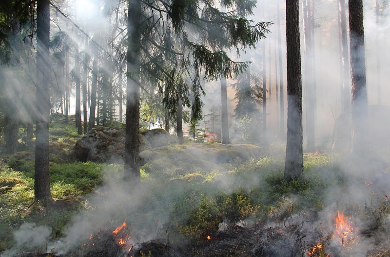 Environmental Conservation Practices